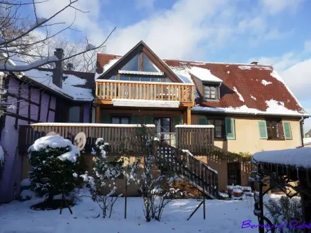 1ed-Face Vosges,au Sud,coeur Vignoble,Calme,WiFi - Photo 26