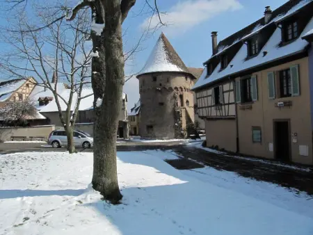 2ed-Face Vosges,im Süden,Herz Weinberg,Ruhig,WiFi - Photo 1