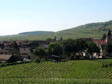 2ed-Face Vosges,im Süden,Herz Weinberg,Ruhig,WiFi - Photo 16