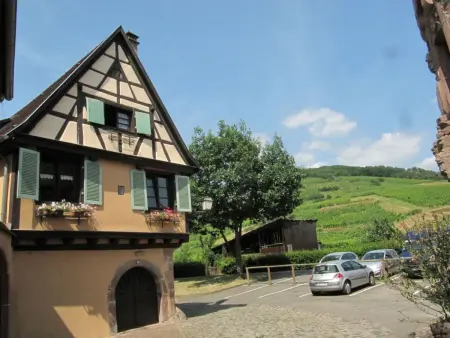 2ed-Face Vosges,im Süden,Herz Weinberg,Ruhig,WiFi - Photo 18