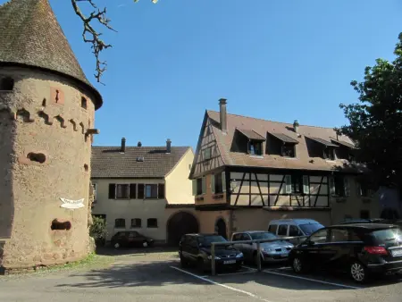 2ed-Face Vosges,im Süden,Herz Weinberg,Ruhig,WiFi - Photo 20