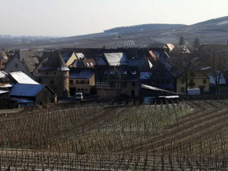 2ed-Face Vosges,im Süden,Herz Weinberg,Ruhig,WiFi - Photo 26
