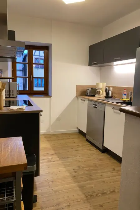 Bugatti in Riquewihr, Appartement 4 personnes à Riquewihr - Photo 9