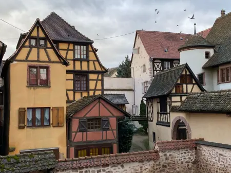 Bugatti in Riquewihr, Appartement 4 personnes à Riquewihr - Photo 13
