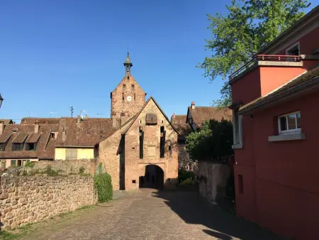 Bartholdi in Reichenweier, Appartement 5 personnes à Riquewihr - Photo 29