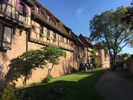 Bartholdi in Reichenweier, Appartement 5 personnes à Riquewihr - Photo 31