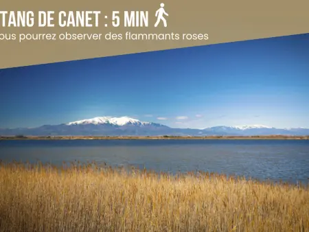 Dreamy Lodge - Genuss, Strand in 100m, Appartement 5 personnes à Canet Plage - Photo 29