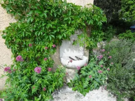 Villa Fleurie, Maison 9 personnes à Uzès - Photo 4