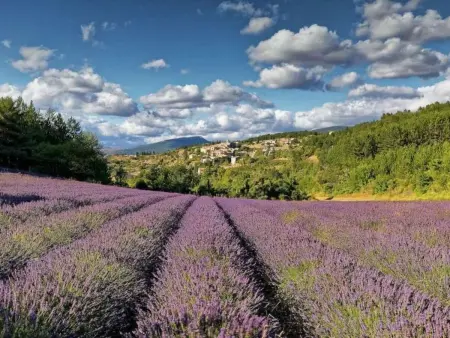 Villa Fleurie, Maison 9 personnes à Uzès - Photo 36