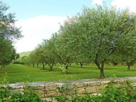 Villa Fleurie, Maison 9 personnes à Uzès - Photo 37