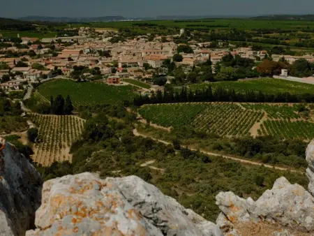 Villa Chemin du Lirac in Tavel, Maison 6 personnes à Tavel - Photo 41