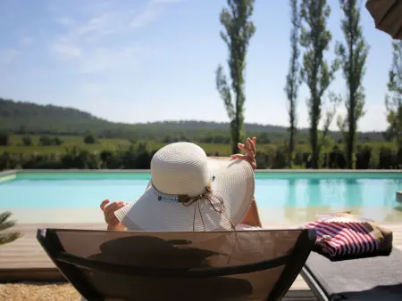 Domäne  Pavillon Timéo  mit Infinity-Pool, Maison 2 personnes à Carnas - Photo 7