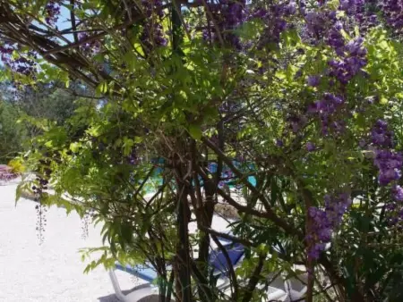 Vakantiehuis La Cigale, Maison 5 personnes à Les Arcs - Photo 26