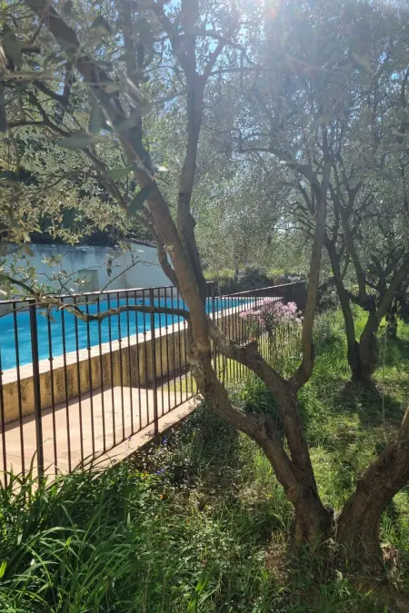 Mas de la damisello, Maison 8 personnes à Puyméras - Photo 14
