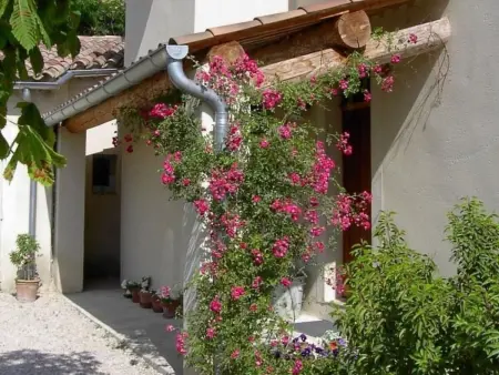 Mas de la damisello, Maison 8 personnes à Puyméras - Photo 32