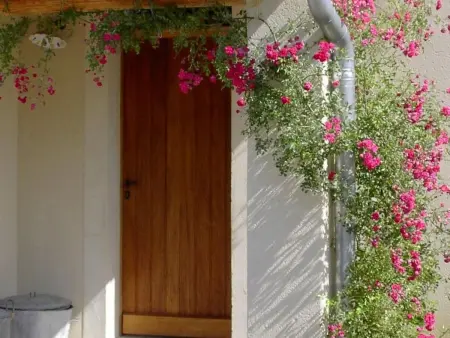 Mas de la damisello, Maison 8 personnes à Puyméras - Photo 34