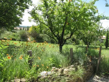 Mas de la damisello, Maison 8 personnes à Puyméras - Photo 45