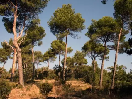 La Ribelle en Provence - Lou recati, Appartement 6 personnes à L'isle sur la Sorgue - Photo 14