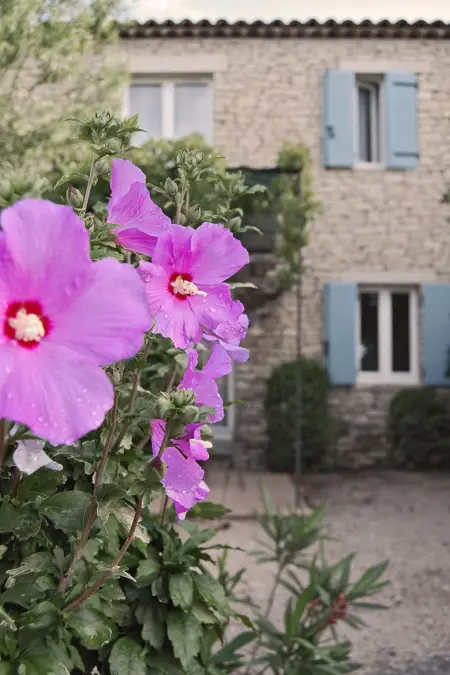 Cypres du Paradis, Appartement 4 personnes à Gordes - Photo 20