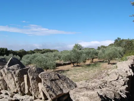 Cypres du Paradis, Appartement 4 personnes à Gordes - Photo 29