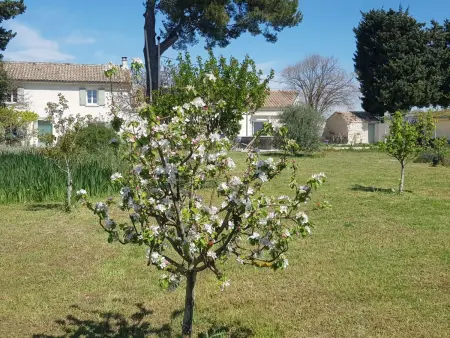 Charmantes Bauernhaus in der Provence, Maison 4 personnes à Violès - Photo 27