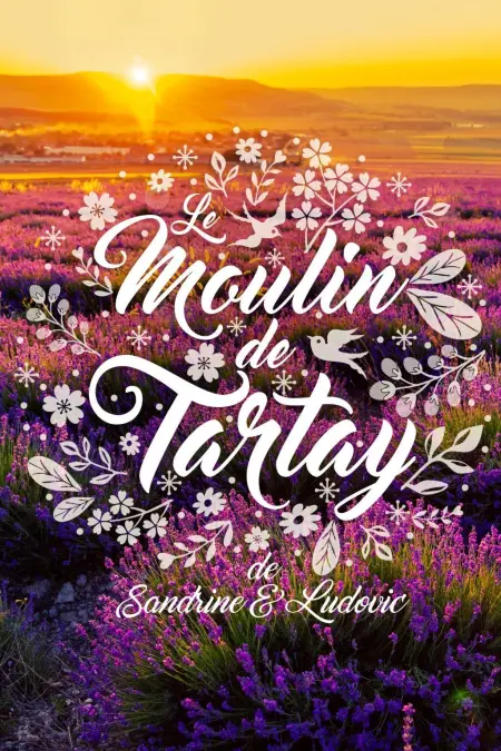 Moulin de Tartay in Avignon, Maison 2 personnes à Montfavet - Photo 30