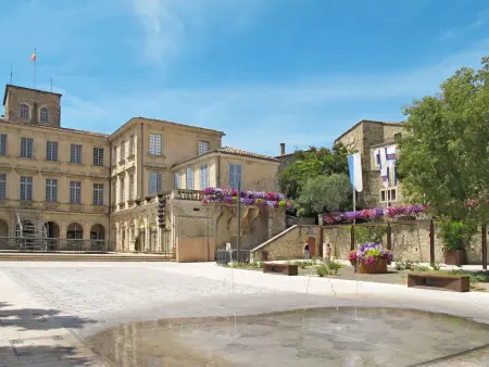 Provençal Privates Schwimmbad, Haustiere willkommen - Photo 33