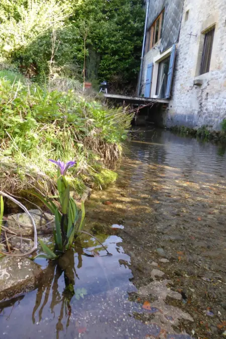 The Water Mill of Tourteron, Maison 8 personnes à Tourteron - Photo 31
