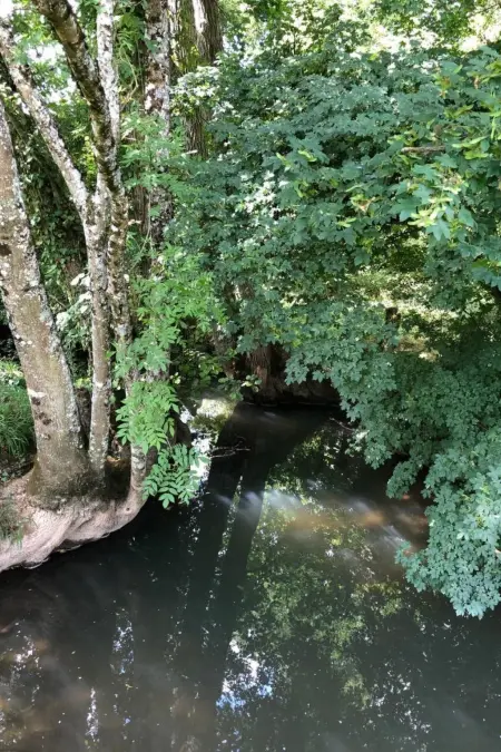 The Water Mill of Tourteron, Maison 8 personnes à Tourteron - Photo 64