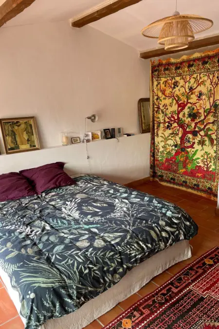 Haus schlucht Verdon, Maison 8 personnes à Bauduen - Photo 17