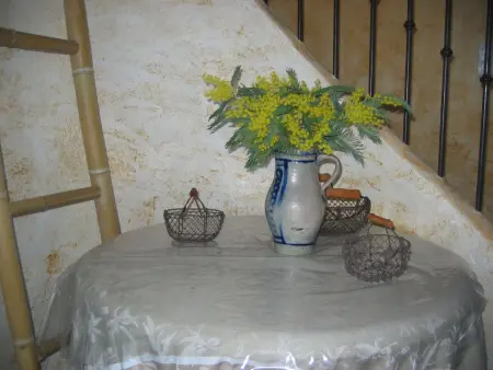 pin parasol, Maison 5 personnes à Aups - Photo 20