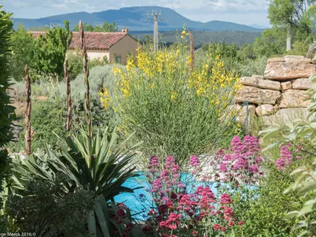 pin parasol, Maison 5 personnes à Aups - Photo 27