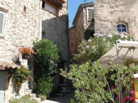 pin parasol, Maison 5 personnes à Aups - Photo 41