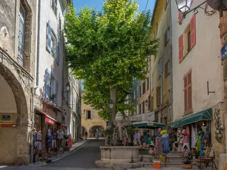 les amandiers, Maison 3 personnes à Aups - Photo 31