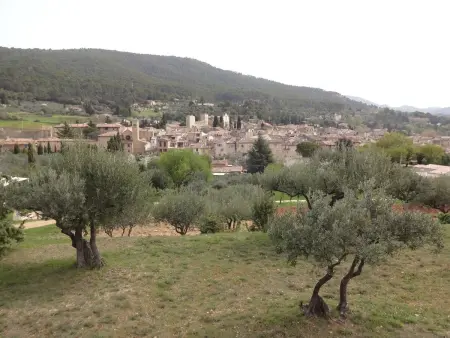 Le mas de l'Aven Unterkunft le mûrier, Maison 4 personnes à Aups - Photo 36