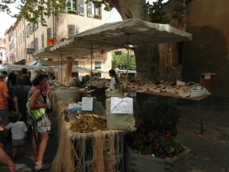 Le mas de l'Aven Unterkunft le mûrier, Maison 4 personnes à Aups - Photo 37