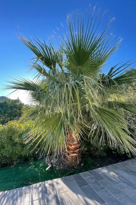 Villa St. Julian, Maison 6 personnes à Montferrat - Photo 23
