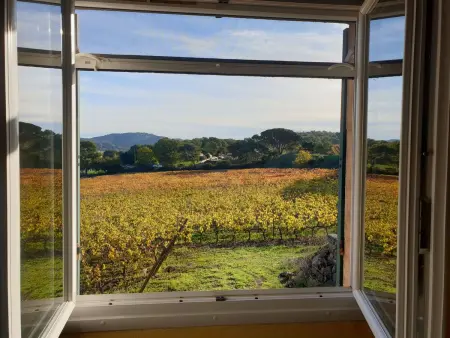 im Herzen der Weinberge, schattige Terrasse umgeben von Grün, Pool - Photo 8