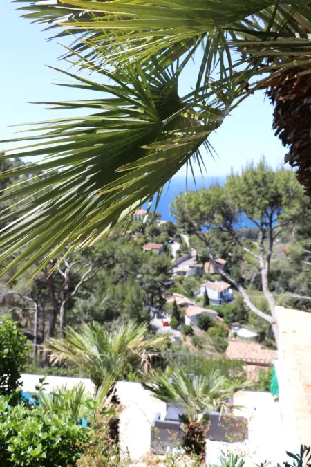 Mesomax  mit Meerblick, Appartement 6 personnes à Carqueiranne - Photo 22