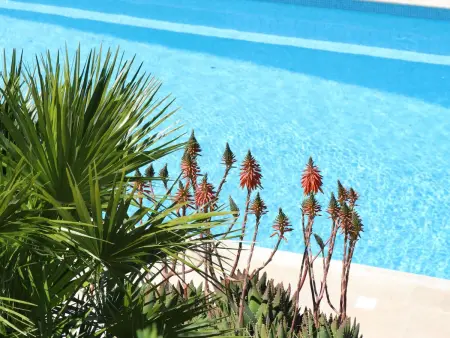 Mesomax  mit Meerblick, Appartement 6 personnes à Carqueiranne - Photo 24