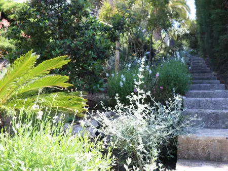 Mesomax  mit Meerblick, Appartement 6 personnes à Carqueiranne - Photo 25
