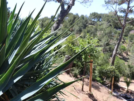 Mesomax  mit Meerblick, Appartement 6 personnes à Carqueiranne - Photo 35