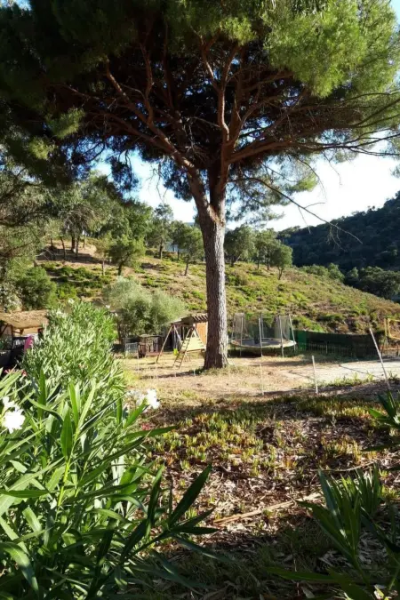 3 Zimmerhaus, Maison 4 personnes à Sainte Maxime - Photo 32