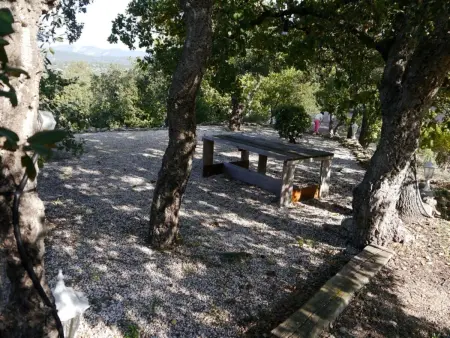 Ruhige Villa mit Pool im Herzen der Weinberge, Maison 6 personnes à Plan de la Tour - Photo 3