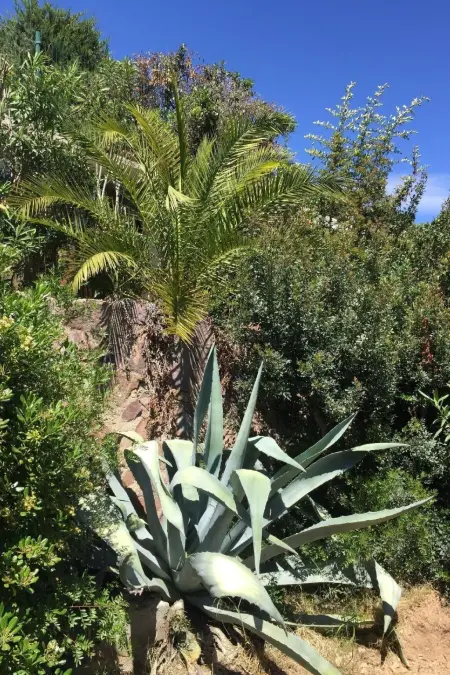 Kleine Villa an der Cote d´Azur, Maison 4 personnes à Les Issambres - Photo 30