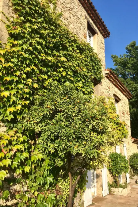 Bergerie de Peymeyan, Maison 10 personnes à Fayence - Photo 4