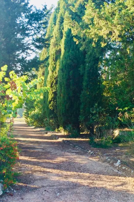 Bergerie de Peymeyan, Maison 10 personnes à Fayence - Photo 9