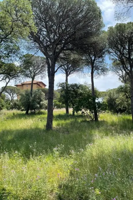 Grande Maisonette, Appartement 4 personnes à Saint Raphaël - Photo 5