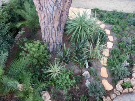 Villa Mascotte, Maison 11 personnes à Cannes - Photo 18