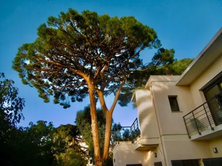 Villa Mascotte, Maison 11 personnes à Cannes - Photo 47
